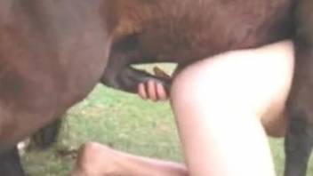 Man deals entire horse dick up his tight ass in wild outdoor XXX