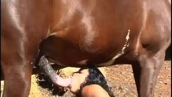Inexperienced woman displays wild blowjob talents on a massive stallion cock