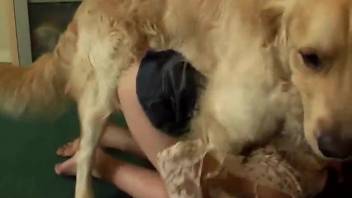 Brunette in a skirt has sex with her boyfriend and his canine