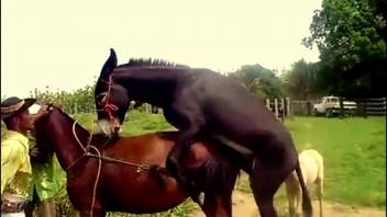 Pair of stunning creatures relish exquisite lovemaking in nature