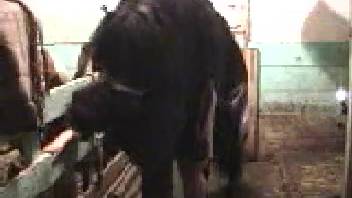 Aroused dark stallion is thrusting into that guy's rear hole