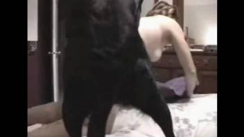 Marvellous black dog is fucking a woman from behind