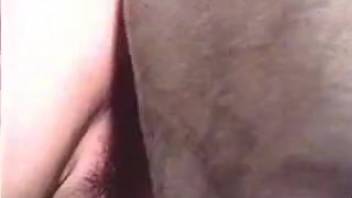 Curvy brown-haired woman gets pounded by a fierce black dog