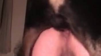 Gorgeous Rottweiler screws this guy's snug rear end