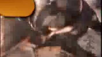 Petite woman senses the whole canine penis inside her small vagina