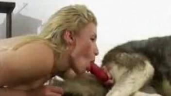 Blond-haired babe loves sucking dog dicks on camera