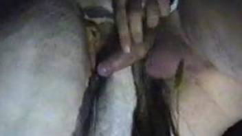 Naughty guy fingering and fucking a very naughty mare