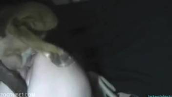 Midnight canine adult encounter for a nude woman with an attractive backside