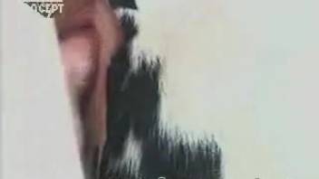Intense thrusting into a rebellious person's and a succulent beast's cavity