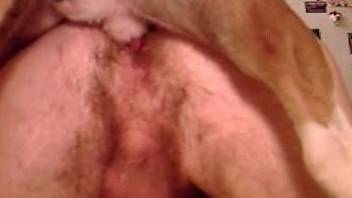 Horny dude gets his hairy asshole fucked by a dog