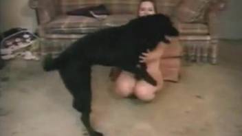 Sexy bitch surrenders her pussy in a taboo zoo video
