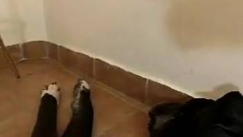 Two dick-hungry babes are teaming up to suck off that dude with a dual blowjob
