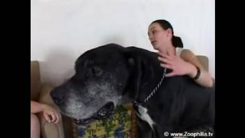 Wild lesbian pair engages in intimate acts with a massive black dog