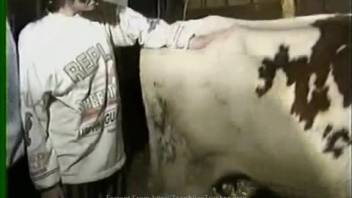The mare's vagina receives a fist, along with plenty of explicit encounters involving livestock