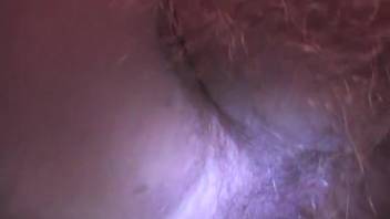 Furry butthole guy being screwed by a sexy beast