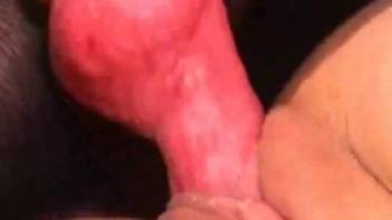 Detailed close-up footage of a woman's vagina being stretched open