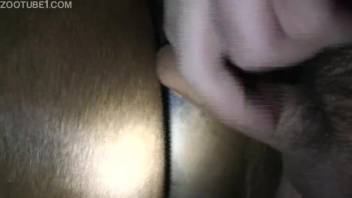 Guy records himself during intense penetration with a horse in savage ways