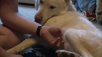 Ardent bestiality enthusiast toying with his female dog's vagina