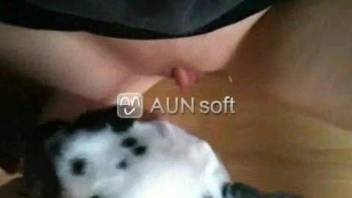 Cock-sucking Dalmatian dog and its horny owner
