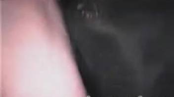 Guy goes down on a mare's cunt before pounding it hard