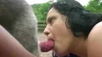 Latina devouring a dog's big red cock on camera