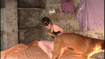 Dark-haired woman in a cat mask gets tongued by a well-endowed canine
