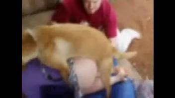 Intense rear-entry canine erotica for the lustful spouse