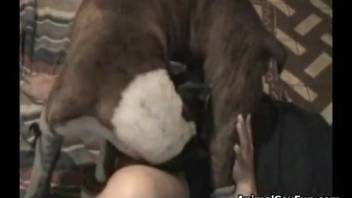 Thick-booty female pounded by the canine and forced to climax