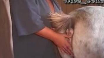 Fatty woman licking and fingering huge horse asshole
