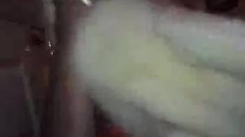 Aged mutt slobbers on owner's dick in a messy fashion