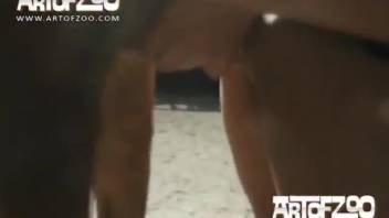 Attractive lady experiments with German Shepherd in her vagina