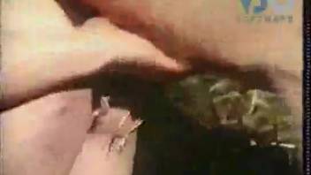 Hot MILF experiments with intercourse involving pigs in rough encounters while it's being recorded