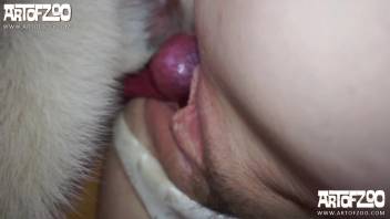 Horny chick with a pink snatch getting banged by a randy doggo