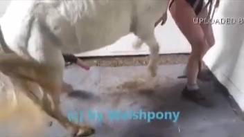 Older woman shoves massive horse cock into her smooth pussy