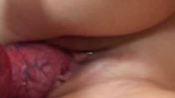 Blonde babe guides massive dog dick into her pierced cunt roughly