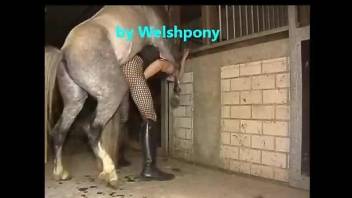 Crossdressing Welsh dude fucked by a hung horse