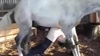 Pasty zoophile dude gets his asshole fucked by a stallion