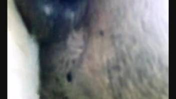 Up-close footage of a furry bestiality enthusiast and a pup