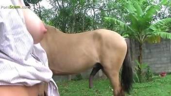 Bodacious brunette sucking on a stallion's big dick