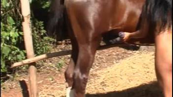 Sun-kissed and feisty Latina savors a massive stallion's load