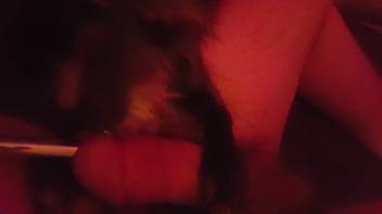 Urethral insertion paired with intensely fervent animal sex