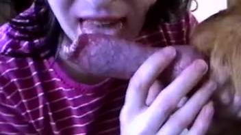 Timid woman hesitantly tasting her initial beast penis