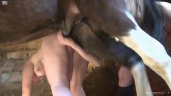 Muscular dude having his butthole pounded by a horse
