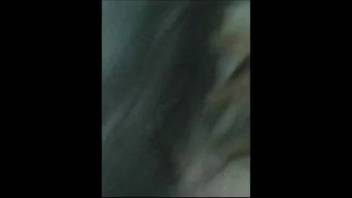 Guy pounds a female dog's vagina with his pulsing dick in first-person view.