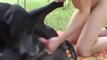 Pregnant chick with a hot pussy riding a sexy dog