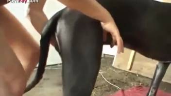 Slender slut loving intense sex with a canine