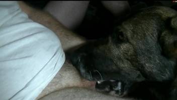 Thirsty guy fucking his dog's face in a hot porn video