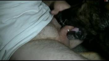 Guy flashing his enormous dick while deepthroating a canine