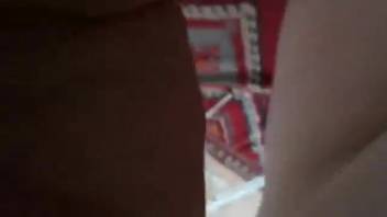 Steamy beast savoring intense blowjob with a chick in point-of-view
