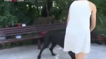Outdoor Adult Video Featuring Dog and Girl 18+